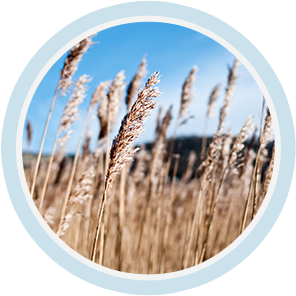 中国·88858cc永利(股份)有限公司-官方网站